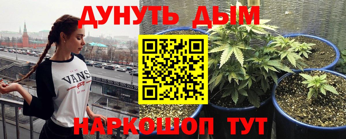 Конопля семена  Вход с VPN  Тихорецк  Марихуана OG Kush  Марихуана план 